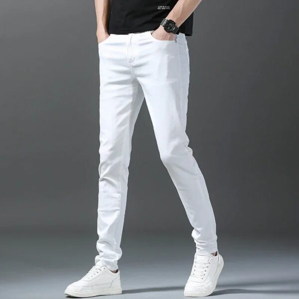 Cotton Chinos Pants